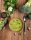 Rezept - Broccolisuppe mit green garden-Croutons
